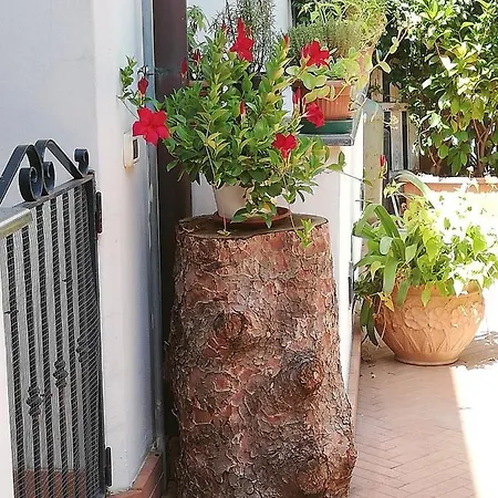 Piccolo Borgo *